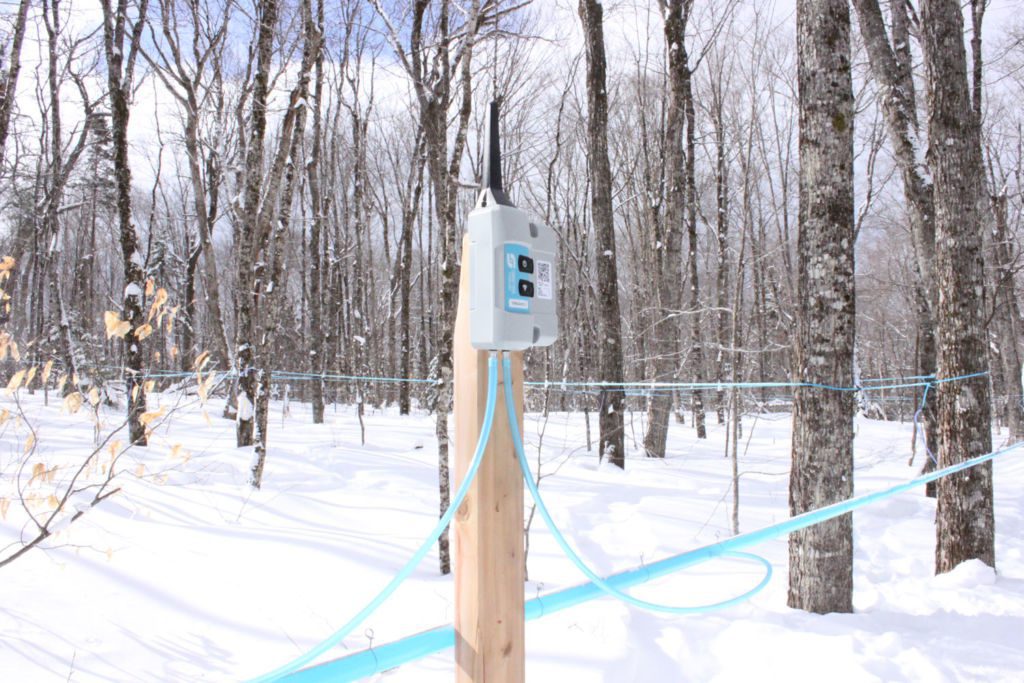surveillance-smartrek-érablière surveillance smartrek production de sève et de sirop erable dans une erabliere