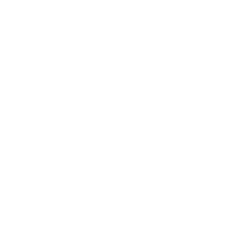 smartrek-technologies-spidermesh-logo-white-no-lettering-128 smartrek technologies spidermesh cooperative mesh network logo white