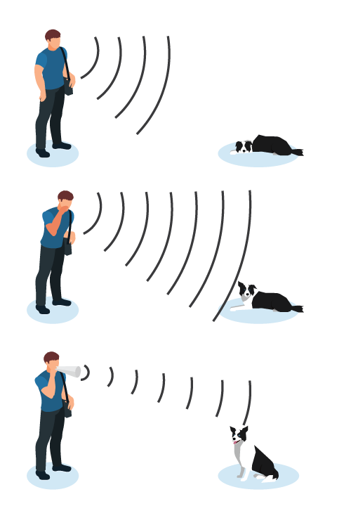 sound waves frequency