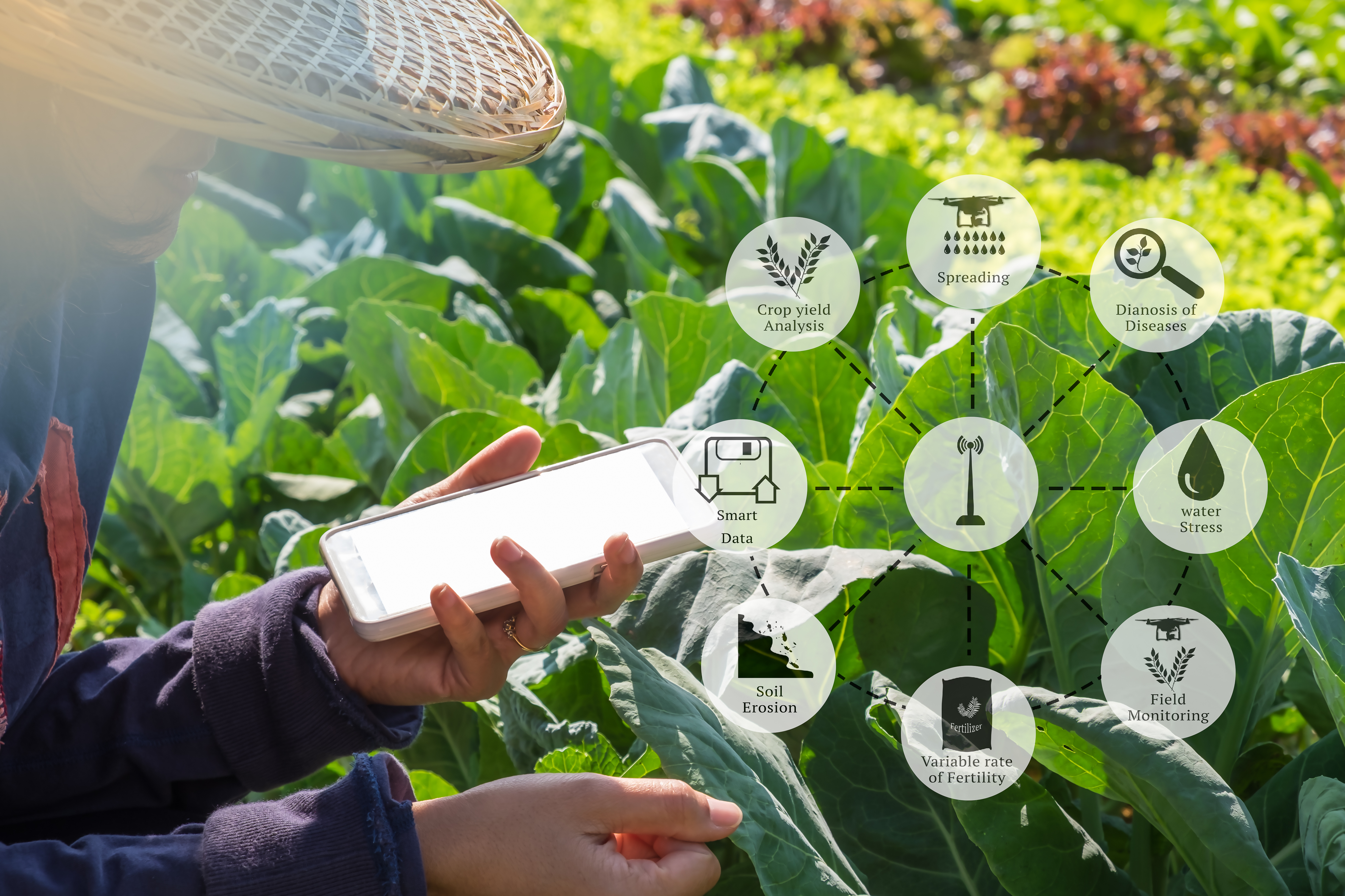 wireless IoT agriculture