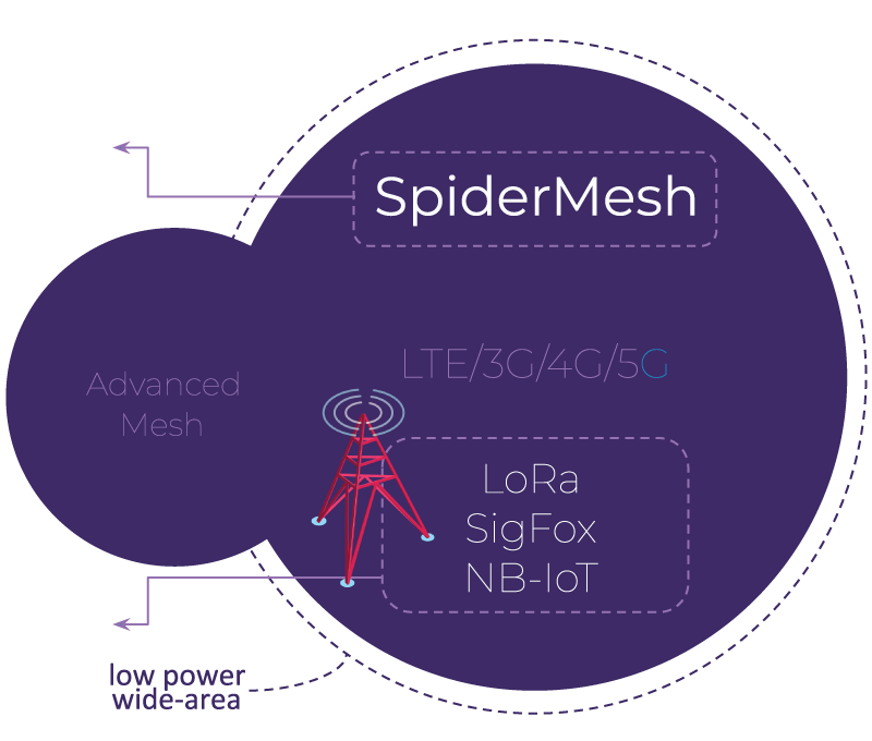 SpiderMesh LoRa SigFox et NB IoT