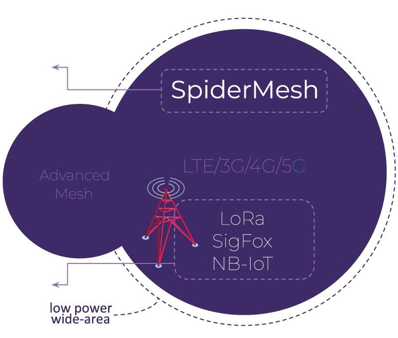 SpiderMesh