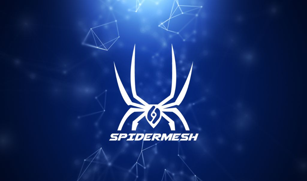 Apprendre davantage sur Spidermesh