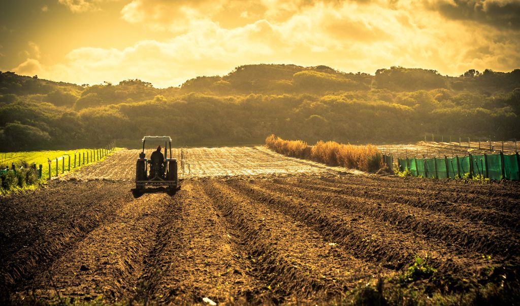 Agriculture intelligente