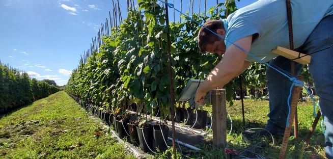 Smartrek Smart Farming