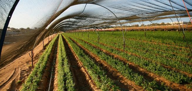 Agricultural Revolution