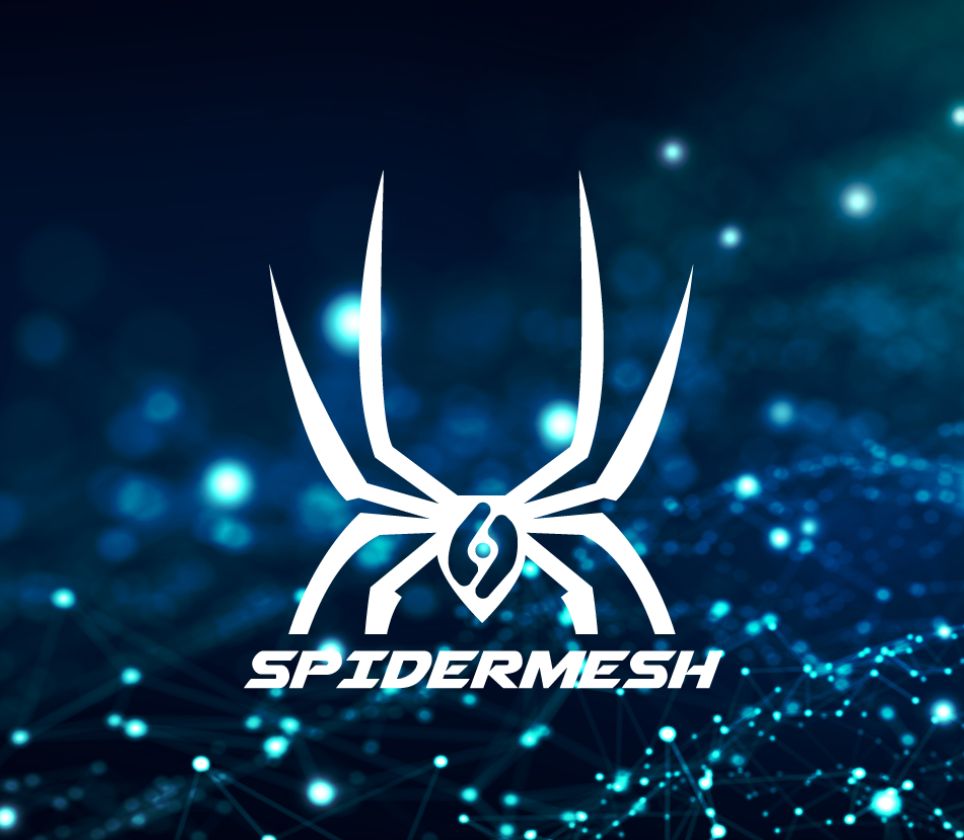 Connectivité SpiderMesh