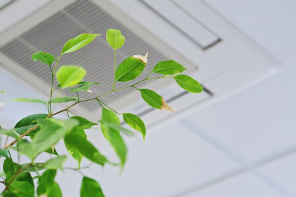 Qualité de l'air intérieur