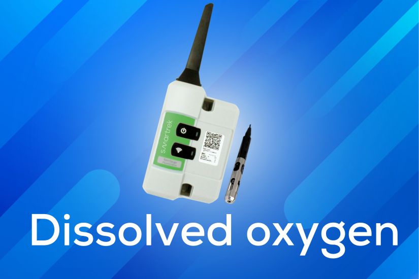 Smartrek dissolved oxygen
