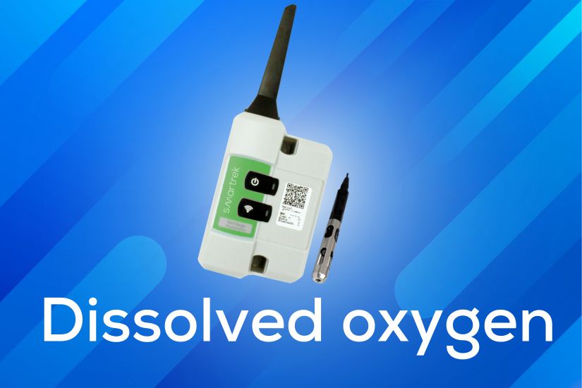 Smartrek dissolved oxygen